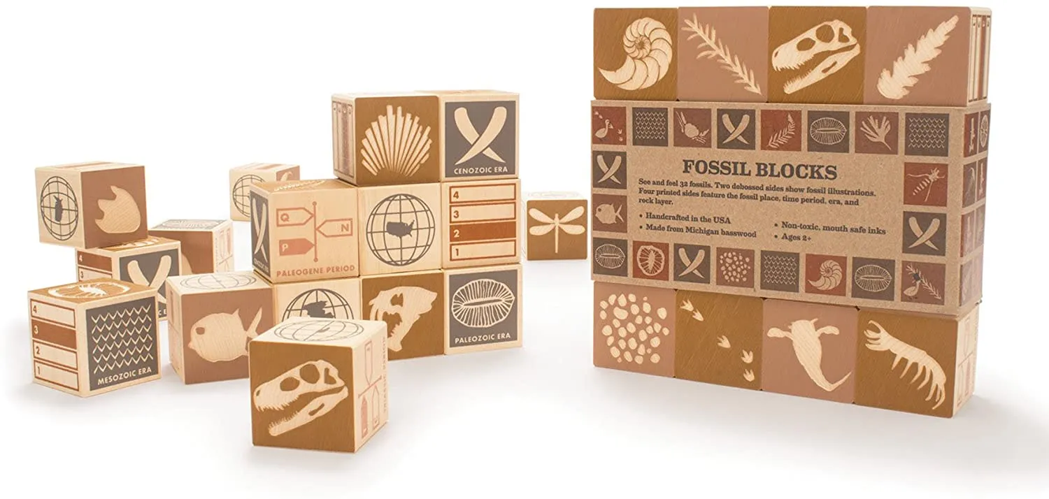 Uncle Goose Fossil Blocks