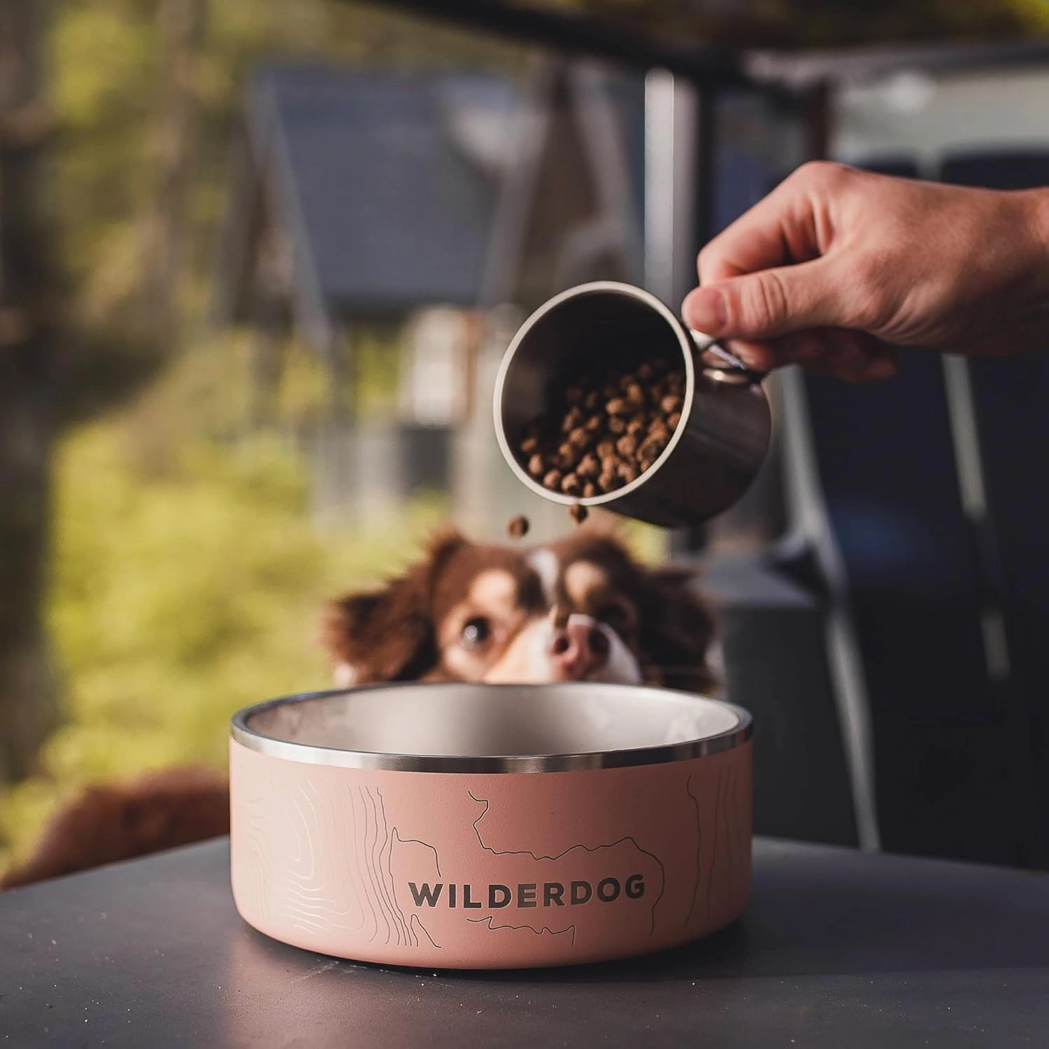 Widlerdog Stainless Steel Dog Bowl with Extra Durable Kitchen-Grade BPA-Free Stainless Steel with Non-Slip Rubber Ringed Bottom
